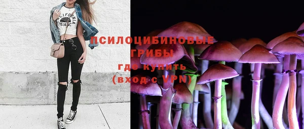 мдпв Сатка