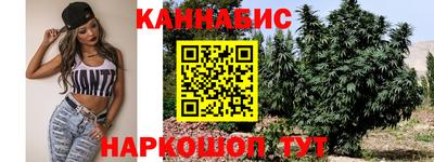 шишки Бийск
