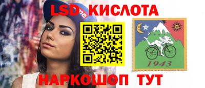 шишки Бийск